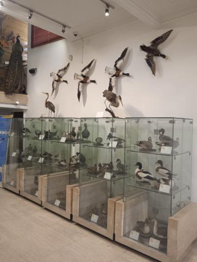 عکس موزه طبیعت و حیات وحش ایران