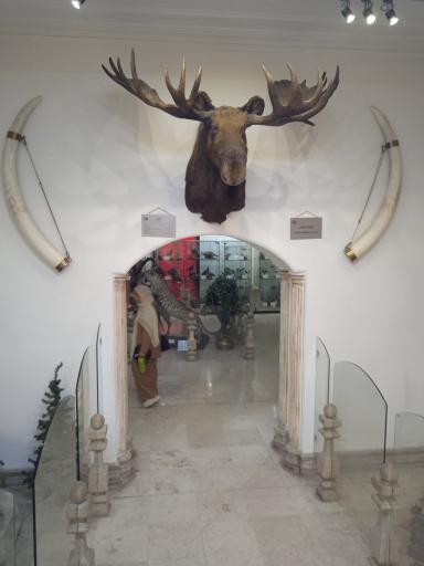 موزه طبیعت و حیات وحش ایران