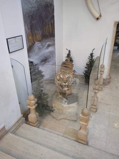 عکس موزه طبیعت و حیات وحش ایران