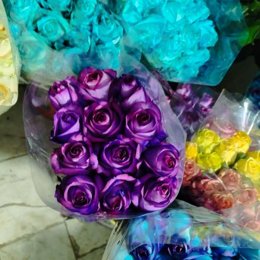 عکس گلخانه مهندس ترابی 