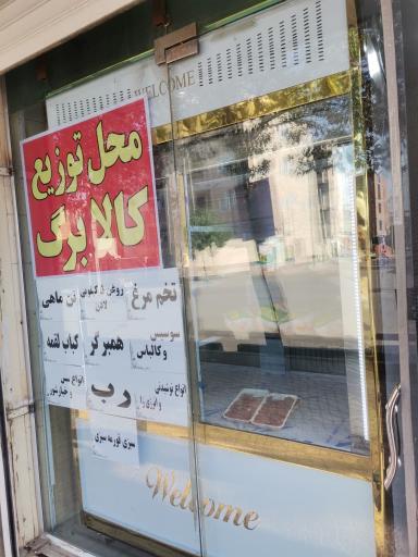 عکس مرغ و ماهی ماهلین