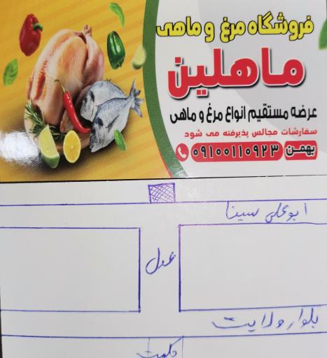 عکس مرغ و ماهی ماهلین