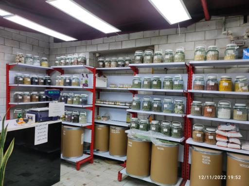 عکس عطاری نازبو