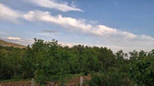 عکس رشتقون