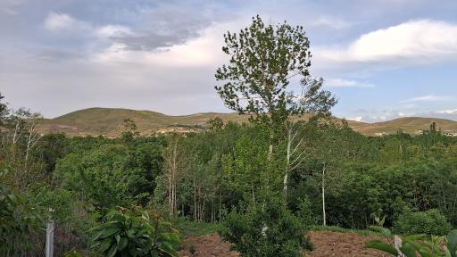 عکس رشتقون