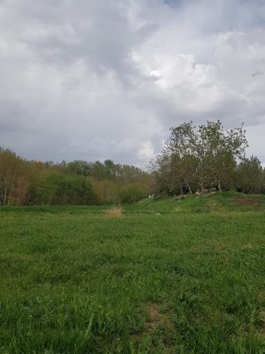 عکس رشتقون