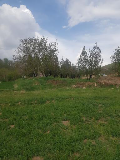 عکس رشتقون