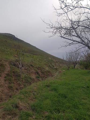 عکس رشتقون