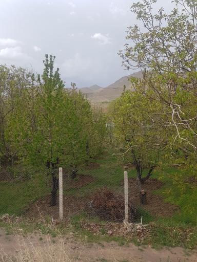 عکس رشتقون