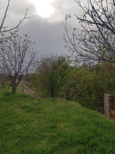 عکس رشتقون