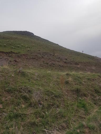 عکس رشتقون