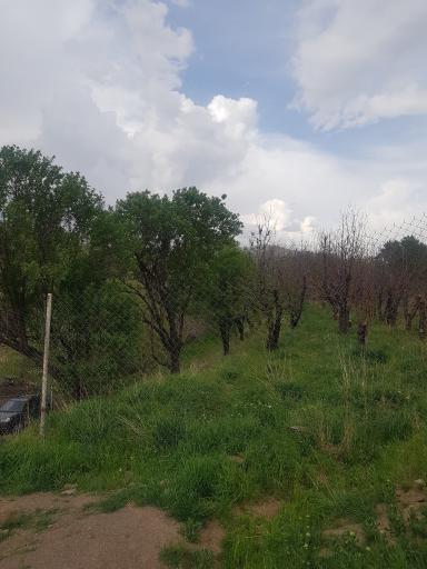 عکس رشتقون