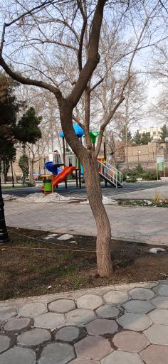 عکس بوستان نیلوفر