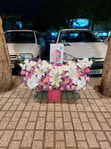 عکس گل شهرزاد