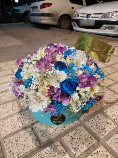 عکس گل شهرزاد