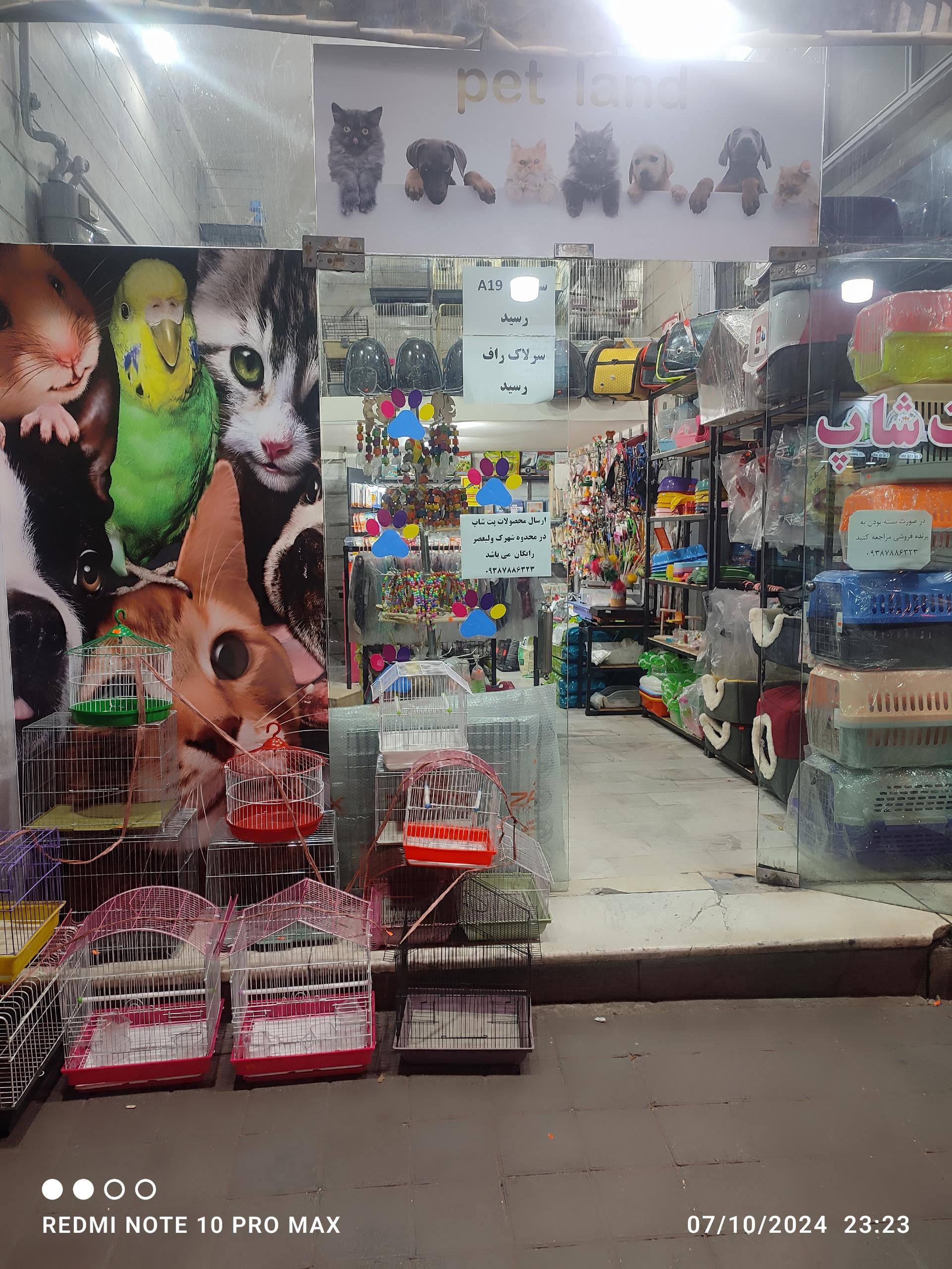 عکس پت شاپ امیر 