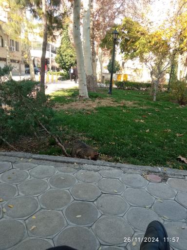 عکس بوستان نیلوفر