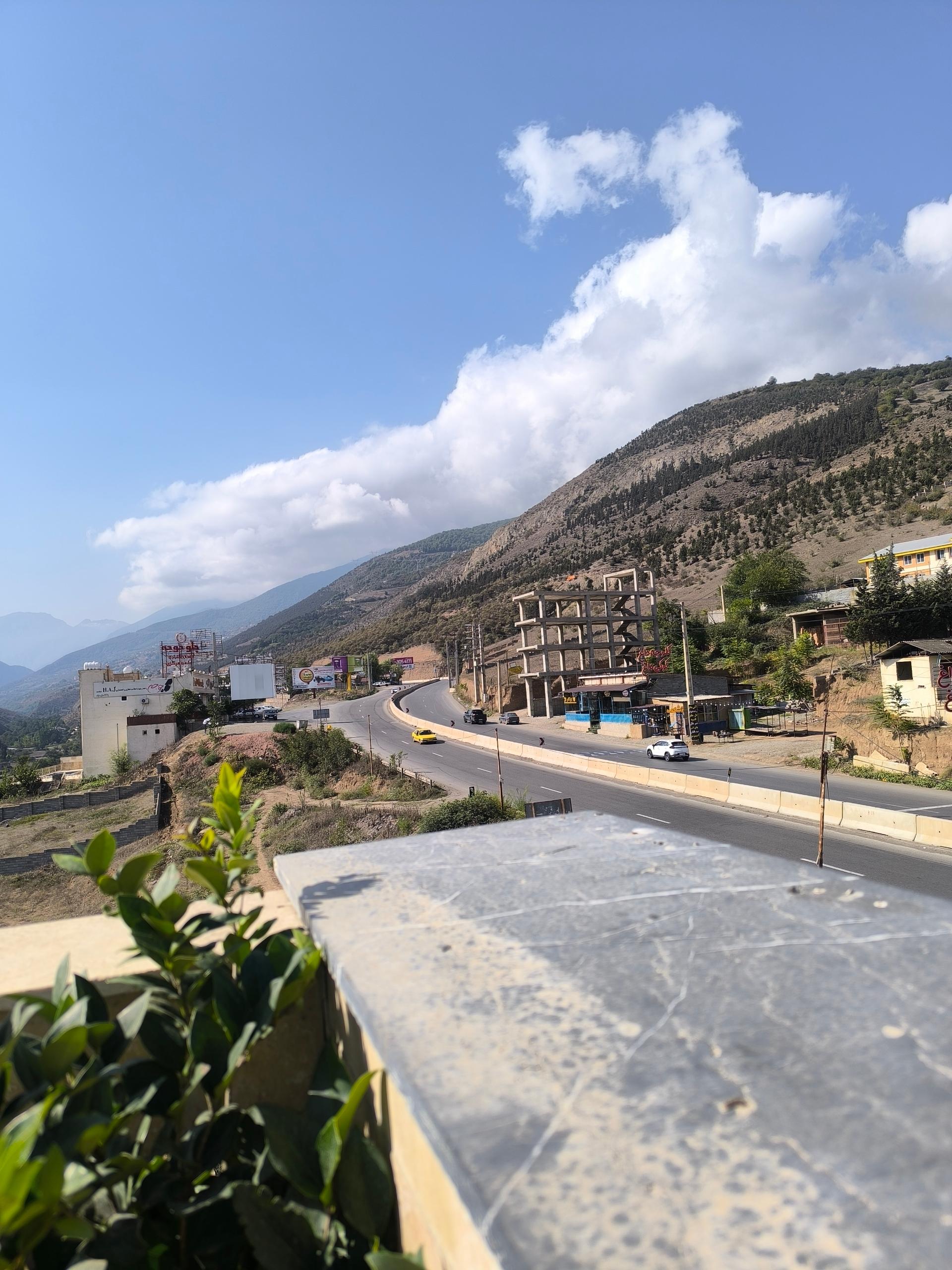 عکس طباخی بره ناقلا