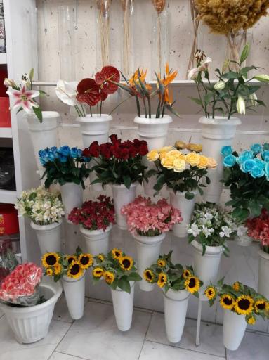 عکس گل شهرزاد