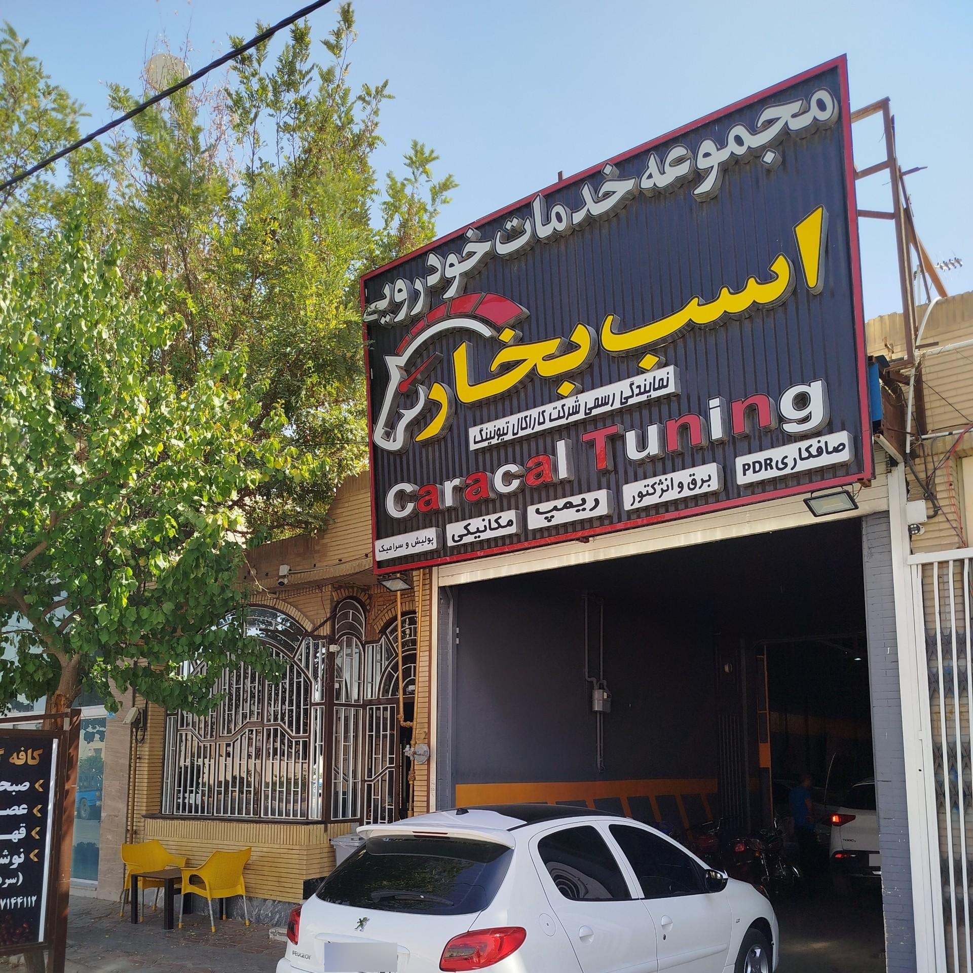 عکس کاراکال تیونینگ اصفهان
