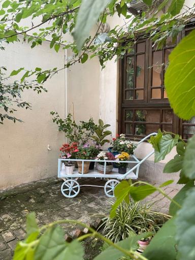 عکس کافه نیکو 