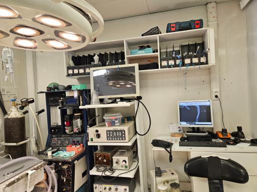 عکس کلینیک جراحی حیوانات خانگی درین