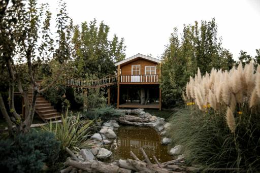 عکس باغ عکاسی عمارت پرنسا