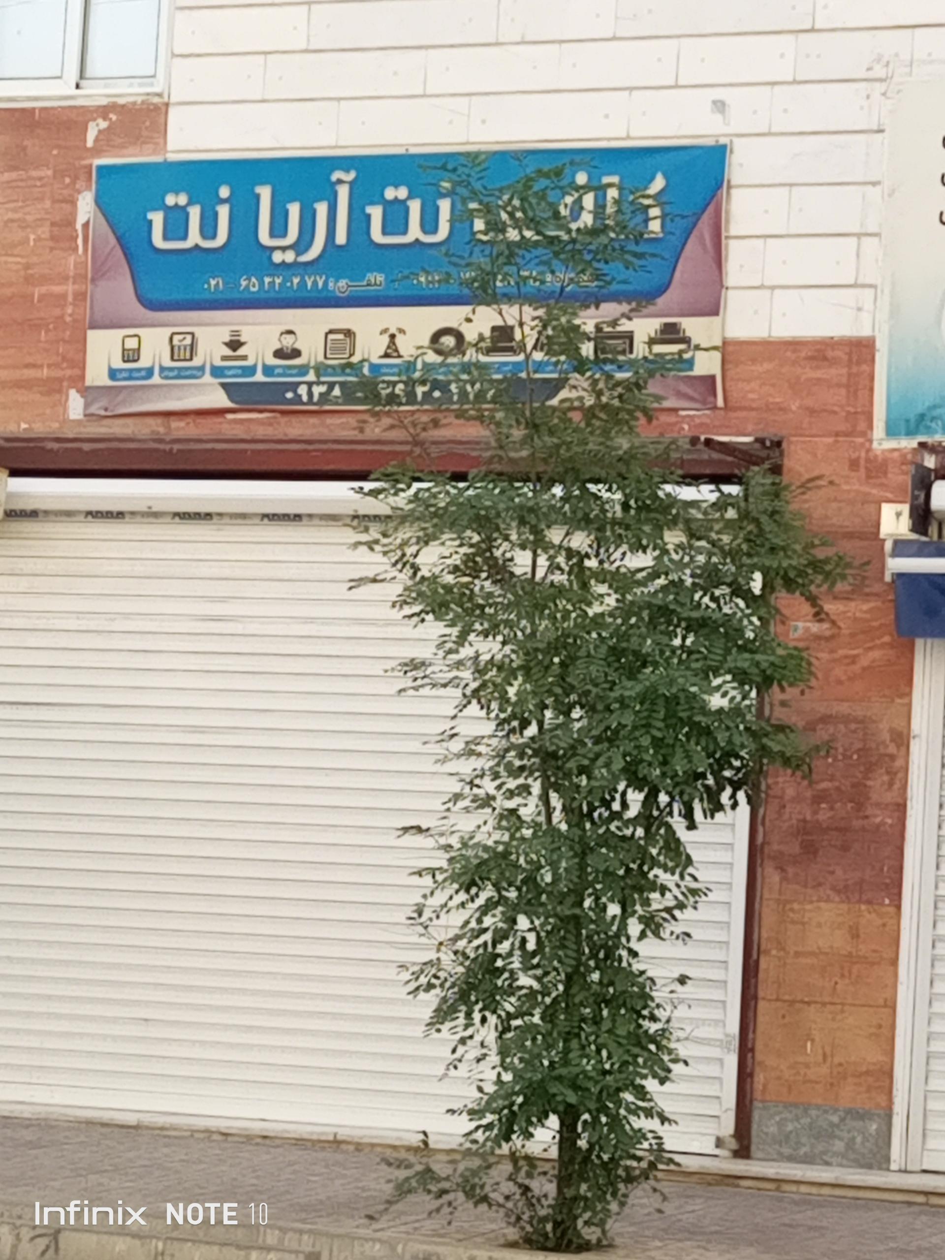 عکس کافی نت آریانت