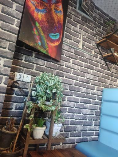 عکس کافه سنجاب