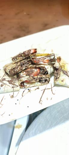 عکس آش و حلیم مادربزرگ 