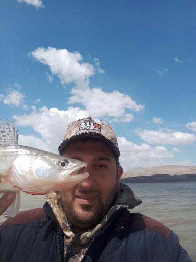 عکس کمپ گردشگری سد ستارخان اهر