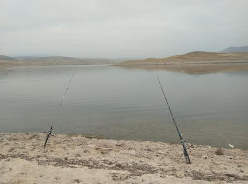 عکس کمپ گردشگری سد ستارخان اهر