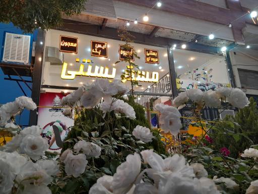 عکس مستر  بستنی طرقبه