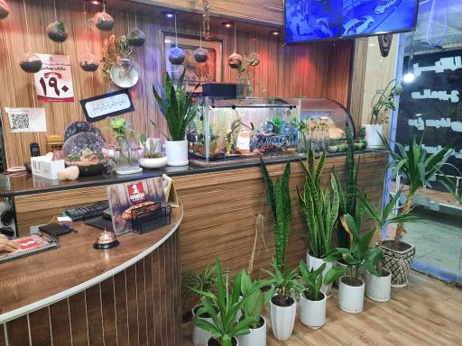 عکس فست فود لیمین