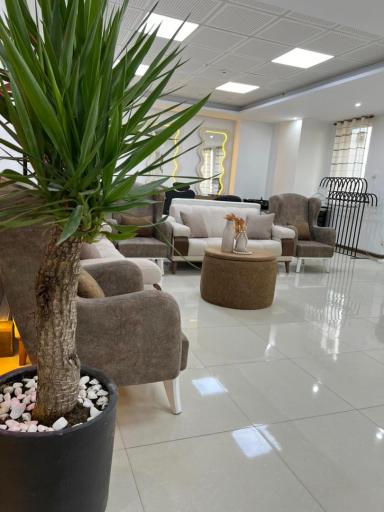 عکس سالن نینوک