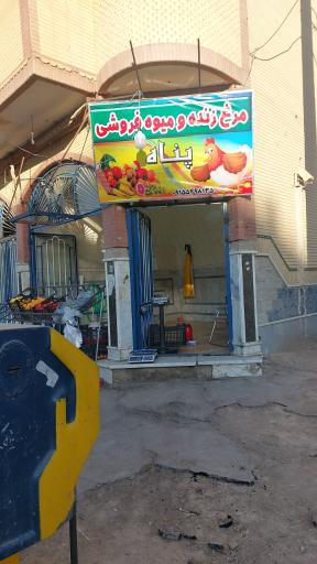 عکس مرغ زنده و میوه فروشی پناه