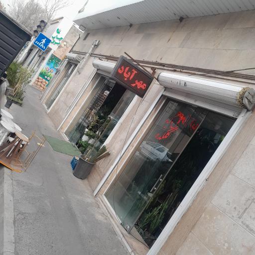 عکس گل گیاه گلکده