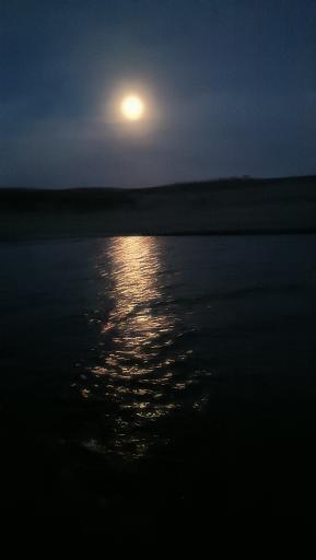 عکس کمپ گردشگری سد ستارخان اهر