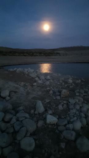 عکس کمپ گردشگری سد ستارخان اهر