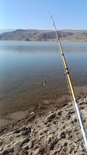 عکس کمپ گردشگری سد ستارخان اهر