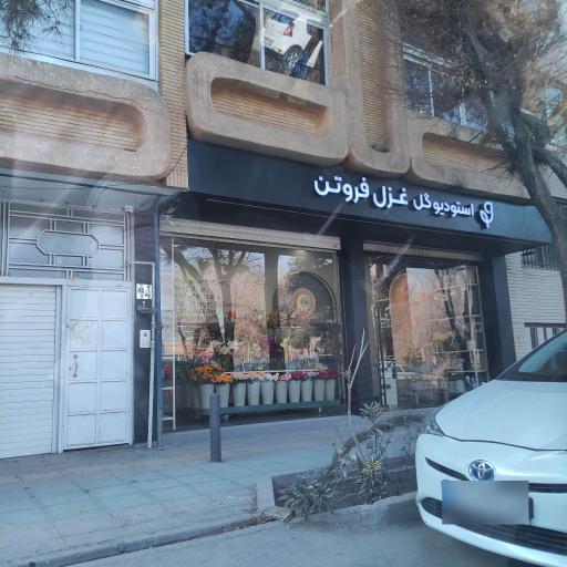 عکس استودیو گل غزل فروتن