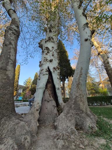 عکس حوزه علمیه امام صادق چهارباغ