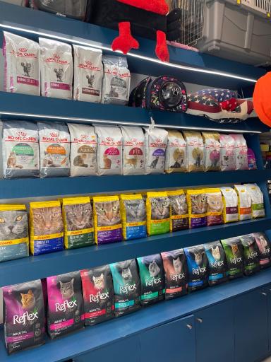 عکس پت شاپ رستا