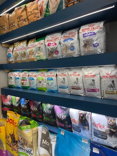 پت شاپ رستا