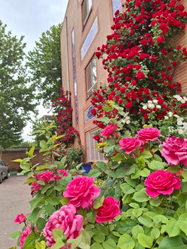 عکس دانشگاه فرهنگیان پردیس ثامن الحجج