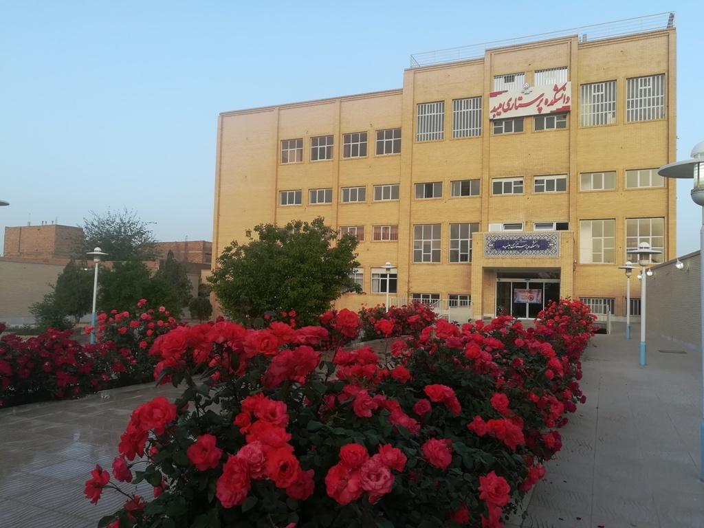 عکس دانشکده پرستاری میبد 