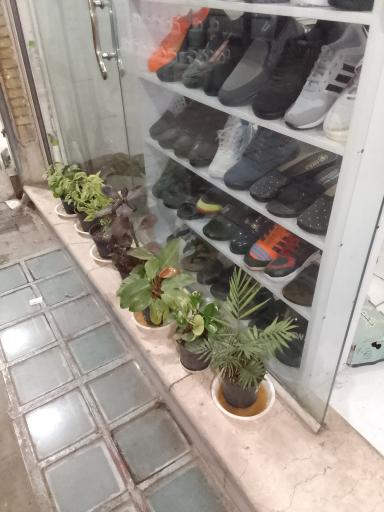 عکس کفش‌ توکل