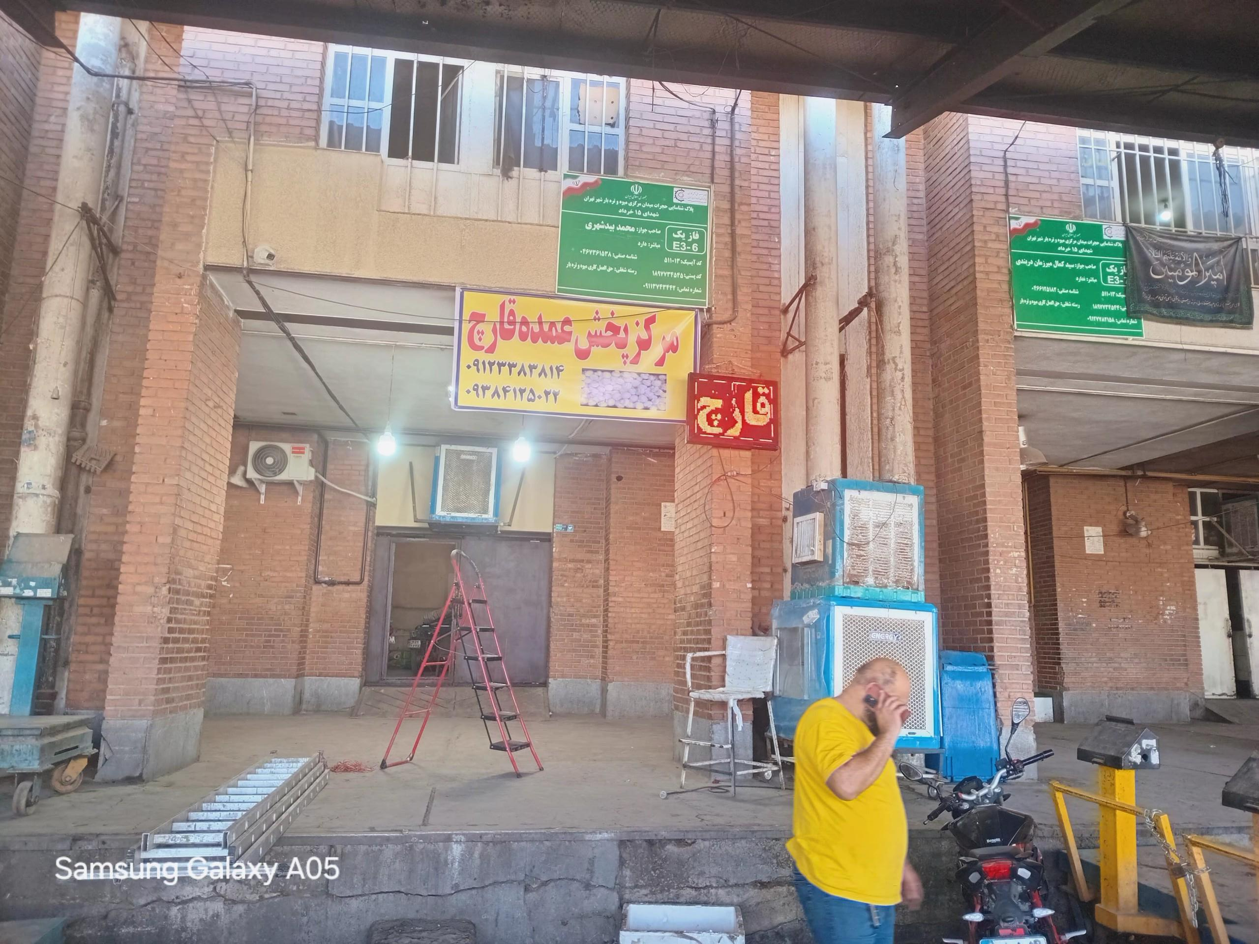 عکس مرکز پخش عمده قارچ 