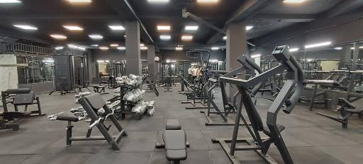 عکس مجموعه ورزشی رامان ۳