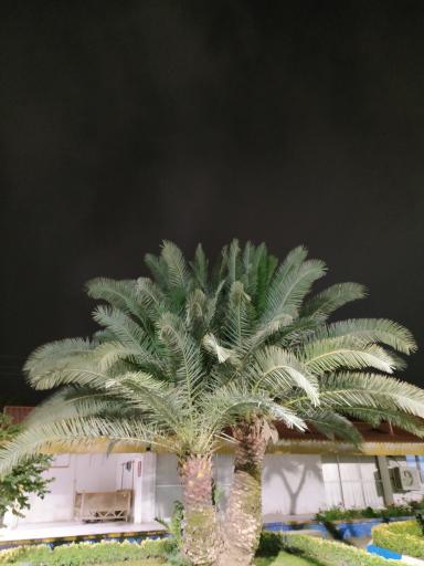 عکس مجتمع تفریحی اقامتی شهید معصومی